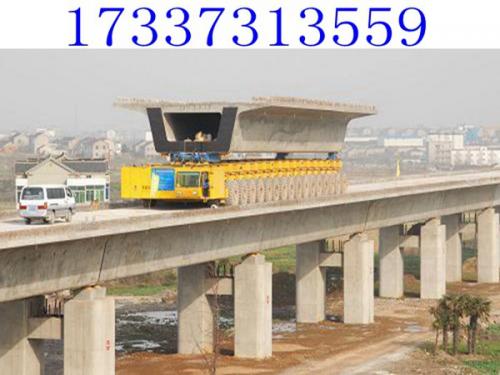 甘肅慶陽200噸運梁車廠家做到顧客滿意